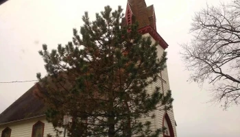 Grace Apostolic Church - Kennedyville