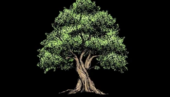 Living Hope Lakeport - Laconia Living Hope Lakeport - Laconia