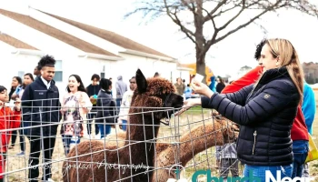 Nu-Lyfe Church - Salisbury