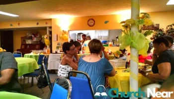 Shepherd's Life - Ilchester