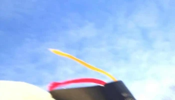 Tabernacle Of God’s Elects - Salisbury