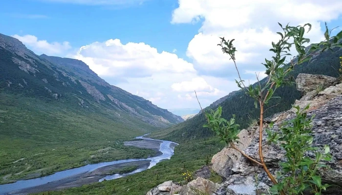 Denali Borough -  All - Alaska