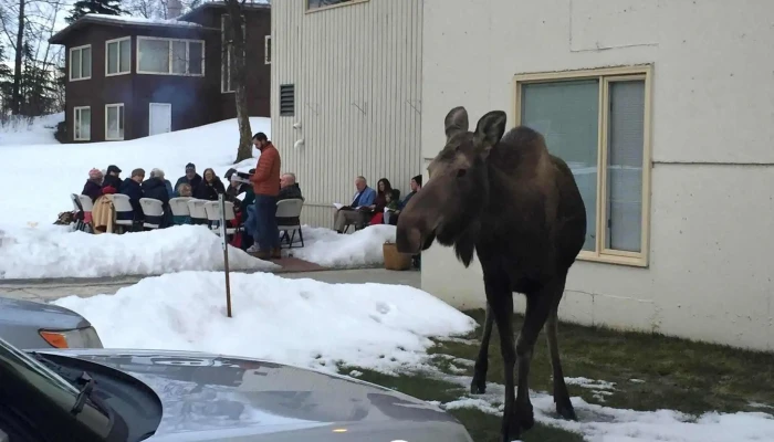 First Congregational Church Of Anchorage -  By Owner - Anchorage