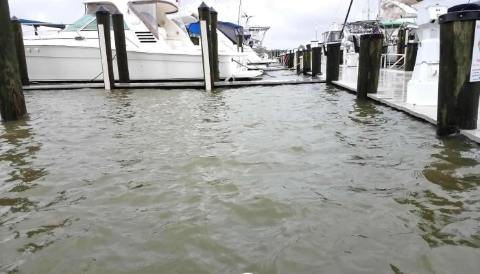 Selby Bay Yacht Club - Edgewater
