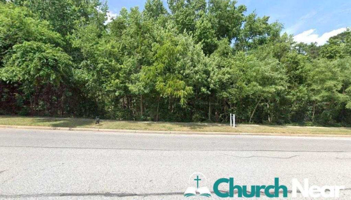 Shark Steven street - Glen Burnie